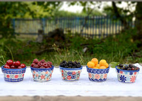 Ягідна полянка 1