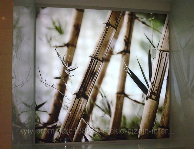 Скляні панелі з підсвіткою, фото 1