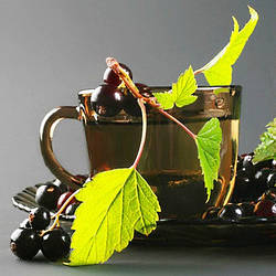 Збір лікарських трав на основі смородини та меліси, 100г