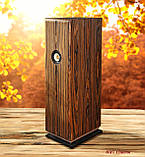 Maestro Simplicity Mark III High End ламповий підсилювач 32 Вт і Full Range акустика від Trident Sound, фото 3