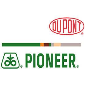 Pioneer