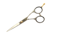 Ножиці Katachi Beauty 5.5 k20255, фото 2