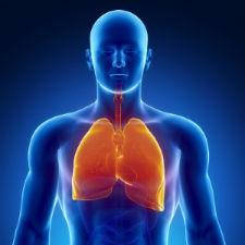 Дихальна система