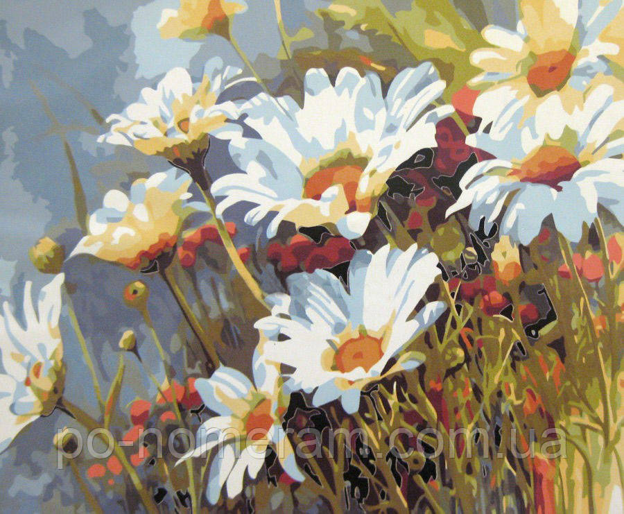 Акційна Картина за номерами Mariposa Ромашкове поле (MR-Q1439) 40 х 50 см, фото 1