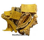 Амурський оксамит кора 50 грамів