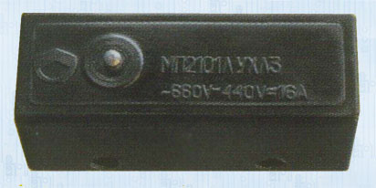 МП 2101