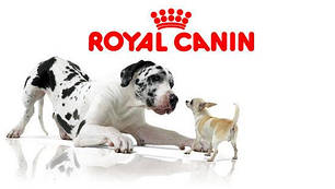 Royal Canin (Франція) корм для собак та цуценят
