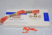 Мулине DMC 21 (новые цвета)