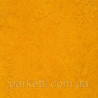 Натуральный линолеум Forbo Marmoleum Real 3,2 мм, все декоры - фото 2 - id-p44943673