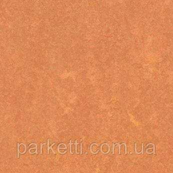 Натуральный линолеум Forbo Marmoleum Fresco 2,0 мм, все декоры - фото 2 - id-p44943803