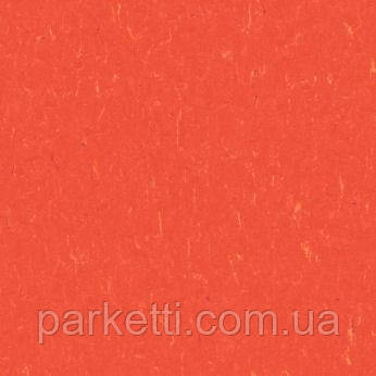 Натуральний лінолеум Forbo Marmoleum Piano 2,5 мм, всі декори, фото 1