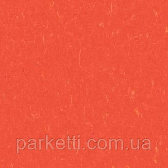 Натуральный линолеум Forbo Marmoleum Piano 2,5 мм, все декоры - фото 1 - id-p44944029