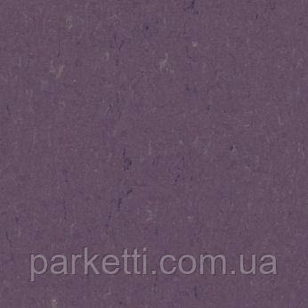 Натуральный линолеум Forbo Marmoleum Piano 2,5 мм, все декоры - фото 5 - id-p44944029