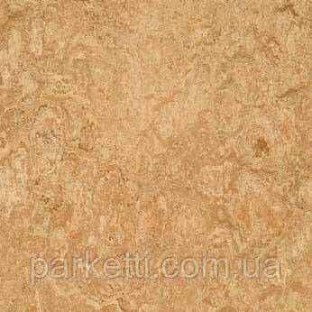 Натуральный линолеум Forbo Marmoleum Dual (Tiles) 2,5 мм; 33.3 x 33.3 мм; все декоры - фото 5 - id-p44944532