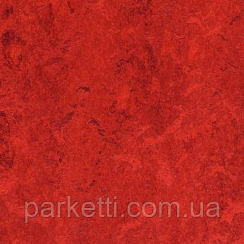 Натуральный линолеум Forbo Marmoleum Decibel 3,5 мм; все декоры - фото 1 - id-p44945039