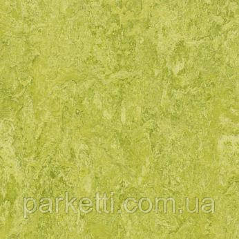 Натуральный линолеум Forbo Marmoleum Decibel 3,5 мм; все декоры - фото 2 - id-p44945039