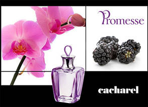 Cacharel Promesse туалетна вода 100 ml. (Кашарель Промес), фото 2