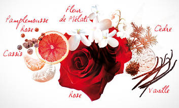 Cacharel Amor Amor Forbidden Kiss туалетна вода 100 ml. (Кашарель Амор Амор Форбидден Кісс), фото 3