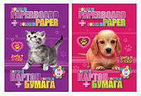 Набор "Animals": картон цветной B5 двухсторонний (10 листов) + цветная бумага двухсторонняя (16 листов)