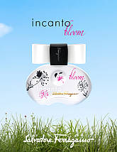Salvatore Ferragamo Incanto Bloom туалетна вода 100 ml. (Сальваторе Феррагамо Інканто Блум), фото 2