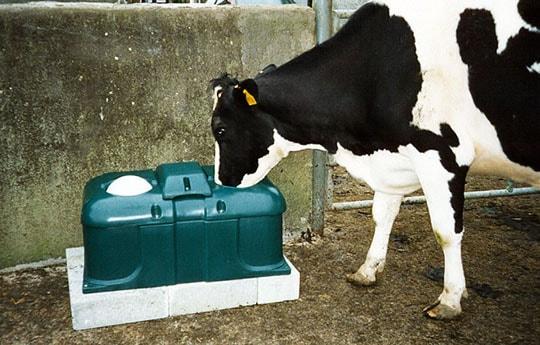 Вода в поилке для скота не замерзает при температуре до -25°С