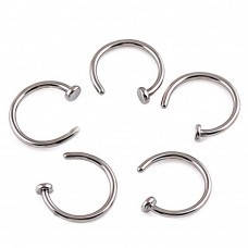 Прикраси на крило носа