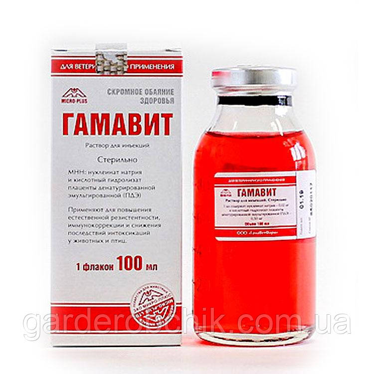 ГАМАВИТ 100 мл, ціна 540 грн — Prom.ua (ID#616837900)