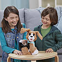 Інтерактивне щеня говорить Чарлі бігль FurReal Friends від Hasbro, фото 5