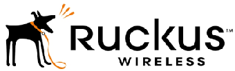 О компании Ruckus Wireless