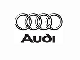 Audi ( Ауді ) Обманка Лямбда Зонда