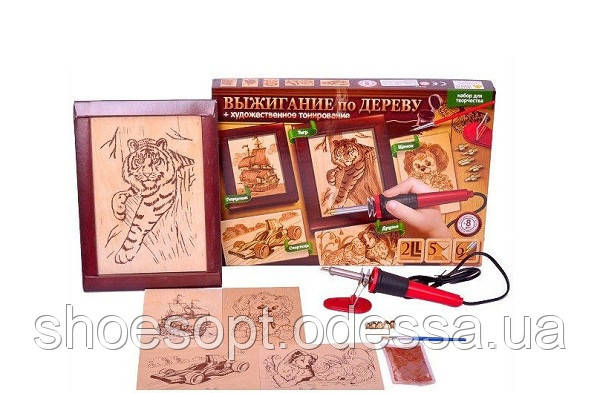 Набір для творчості Випалювання для дерева з випалювачем, тонування, 2 рамки, малюнки, фото 1