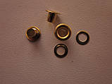 Люверс 3 мм (7,5 х 3,5 х 5 мм) золото, фото 2