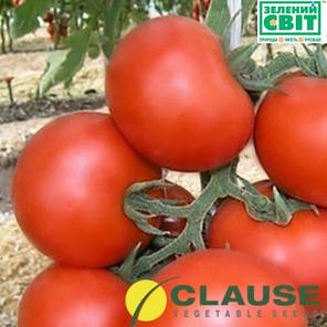 Кристал F1 насіння томату, 1 г — томат ранній, круглий, індитермінантний, Clause, фото 2
