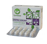 Форма життя для зниження ваги 90 капс Примафлора, фото 2