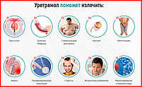 Уретрамол від простатиту, фото 3