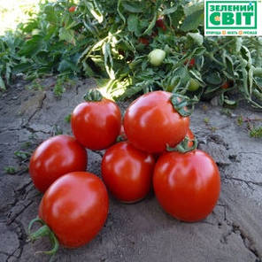 Асвон F1 насіння томату, 1000 насіння — ранній (95-100 днів), детермінантний Kitano Seeds, фото 2