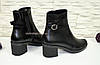 Черевики чорні жіночі шкіряні на стійкому каблуці, фото 3