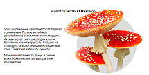 NeoBotox - омолоджуючий крем з екстрактом Мухомора (НеоБотокс), фото 6