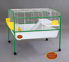 Клітка вольєр для кроля, морської свинки. Golden Cage R4A 104*59*89 см