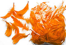 Пір'я декоративні помаранчеві 120 шт