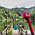 Ополоник Nessie OTOTO (зелений), фото 5
