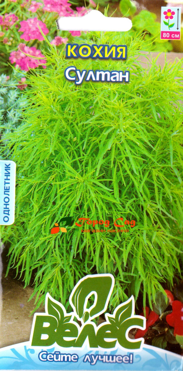 Насіння кохії Султан 0,5 г ТМ ВЕЛЕС