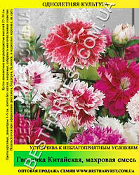 Насіння Гвоздика «Китайська Махрова» суміш 50 г
