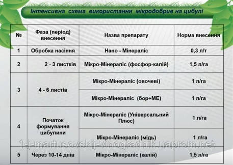 Минералис Україна, позакореневе підживлення цибулі, схема живлення, мікродобрива, обробка насіння, Нано-Минералис, Фосфор калій, Універсальний плюс, Мікро-Минералис (овочеві, Бор, Мідь, Калій)