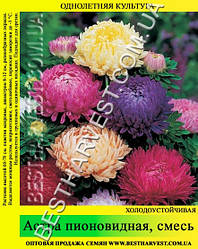 Насіння Астра «Піоновидна» суміш 50 г