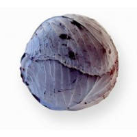 Капуста червоноголова