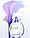Жіноча туалетна вода Calvin Klein Sheer Beauty Essence 30ml, фото 5