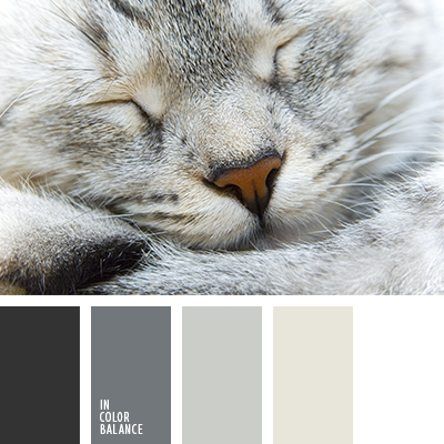 З чим краще всього виглядає білий?