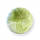 Леда Капуста Анкома 100шт, фото 2