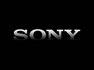 Чохли для Sony